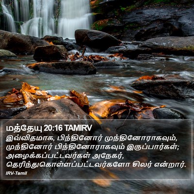 மத்தேயு 20:16 TAMIRV Bible Verse Image