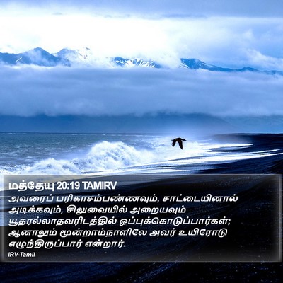 மத்தேயு 20:19 TAMIRV Bible Verse Image