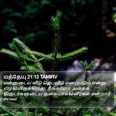 மத்தேயு 21:13 TAMIRV Bible Verse Image