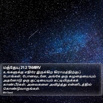 மத்தேயு 21:2 TAMIRV Bible Verse Image