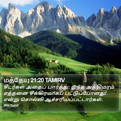 மத்தேயு 21:20 TAMIRV Bible Verse Image