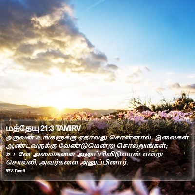 மத்தேயு 21:3 TAMIRV Bible Verse Image