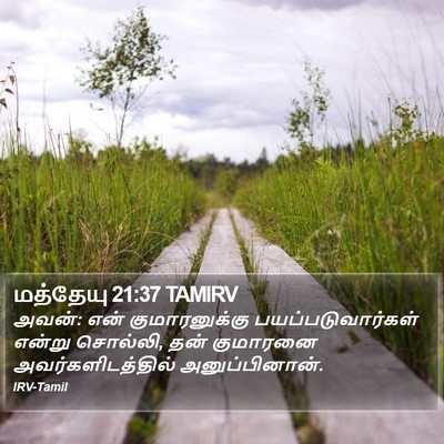 மத்தேயு 21:37 TAMIRV Bible Verse Image