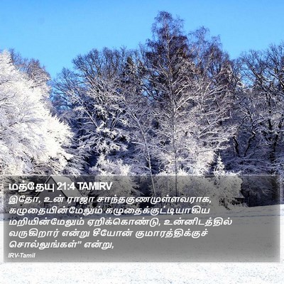 மத்தேயு 21:4 TAMIRV Bible Verse Image