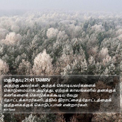 மத்தேயு 21:41 TAMIRV Bible Verse Image