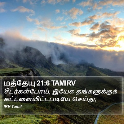மத்தேயு 21:6 TAMIRV Bible Verse Image