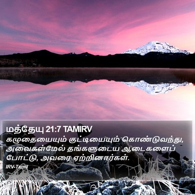 மத்தேயு 21:7 TAMIRV Bible Verse Image