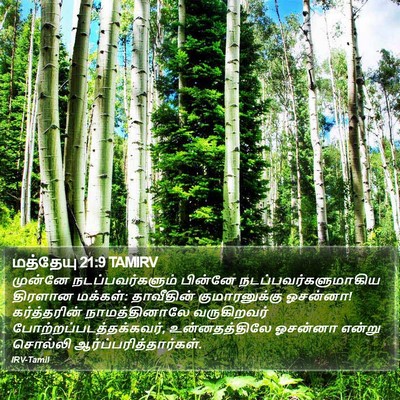 மத்தேயு 21:9 TAMIRV Bible Verse Image