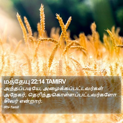 மத்தேயு 22:14 TAMIRV Bible Verse Image