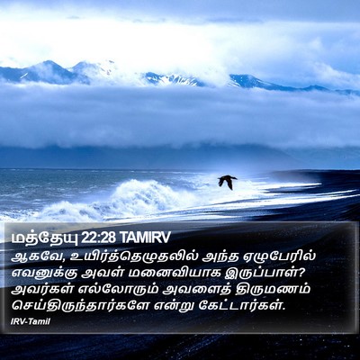 மத்தேயு 22:28 TAMIRV Bible Verse Image