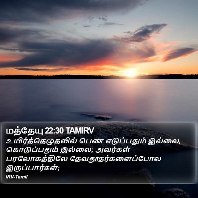 மத்தேயு 22:30 TAMIRV Bible Verse Image