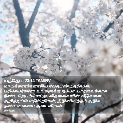 மத்தேயு 23:14 TAMIRV Bible Verse Image