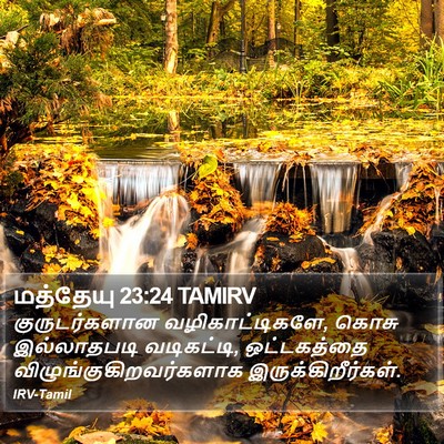 மத்தேயு 23:24 TAMIRV Bible Verse Image