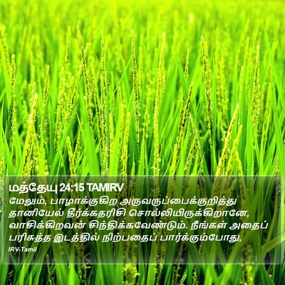 மத்தேயு 24:15 TAMIRV Bible Verse Image