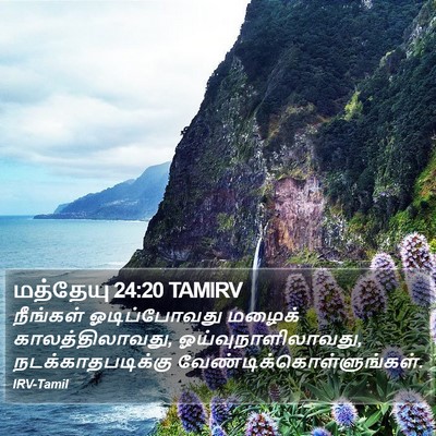 மத்தேயு 24:20 TAMIRV Bible Verse Image