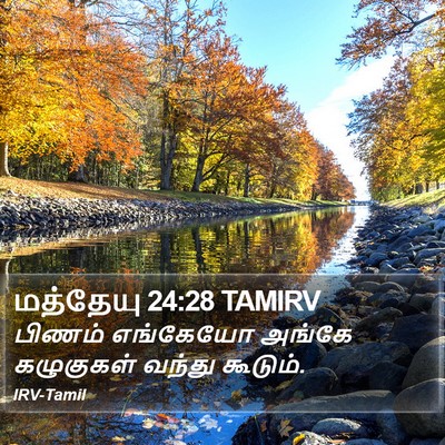 மத்தேயு 24:28 TAMIRV Bible Verse Image