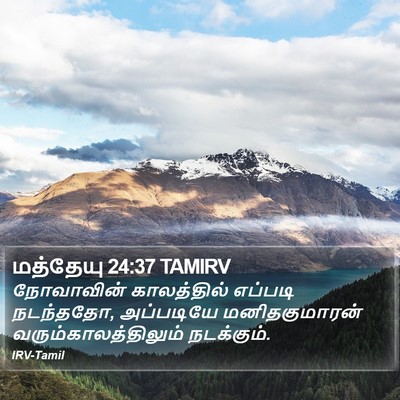 மத்தேயு 24:37 TAMIRV Bible Verse Image