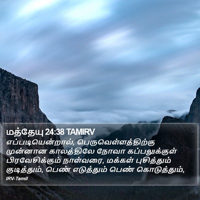 மத்தேயு 24:38 TAMIRV Bible Verse Image