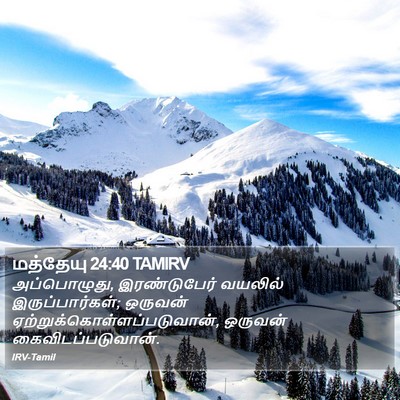 மத்தேயு 24:40 TAMIRV Bible Verse Image