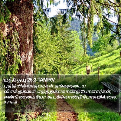 மத்தேயு 25:3 TAMIRV Bible Verse Image