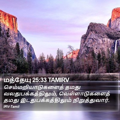 மத்தேயு 25:33 TAMIRV Bible Verse Image