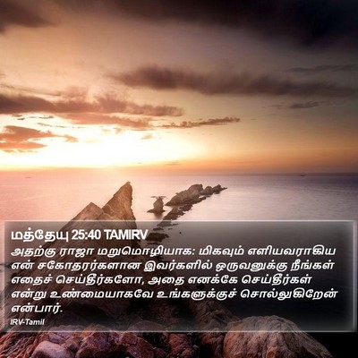 மத்தேயு 25:40 TAMIRV Bible Verse Image