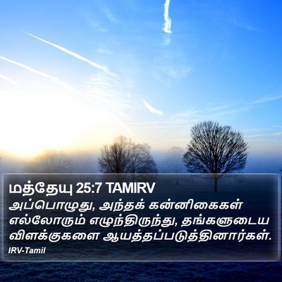 மத்தேயு 25:7 TAMIRV Bible Verse Image