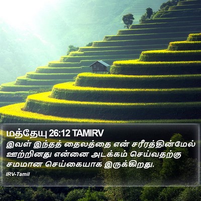 மத்தேயு 26:12 TAMIRV Bible Verse Image