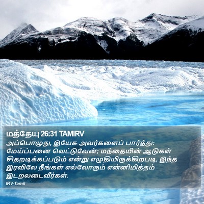 மத்தேயு 26:31 TAMIRV Bible Verse Image