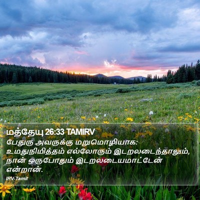 மத்தேயு 26:33 TAMIRV Bible Verse Image