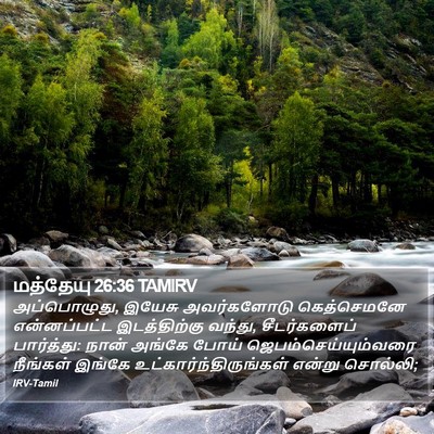 மத்தேயு 26:36 TAMIRV Bible Verse Image