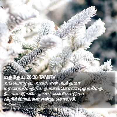 மத்தேயு 26:38 TAMIRV Bible Verse Image