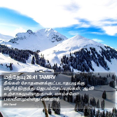 மத்தேயு 26:41 TAMIRV Bible Verse Image