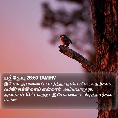 மத்தேயு 26:50 TAMIRV Bible Verse Image