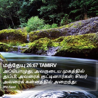 மத்தேயு 26:67 TAMIRV Bible Verse Image