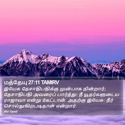 மத்தேயு 27:11 TAMIRV Bible Verse Image