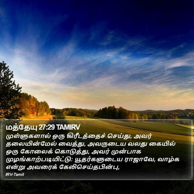 மத்தேயு 27:29 TAMIRV Bible Verse Image