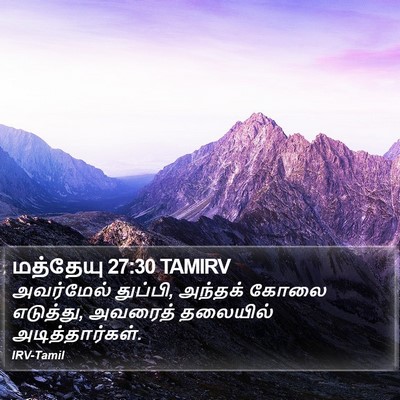 மத்தேயு 27:30 TAMIRV Bible Verse Image
