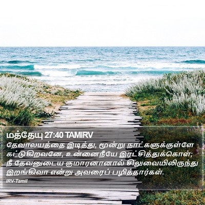 மத்தேயு 27:40 TAMIRV Bible Verse Image
