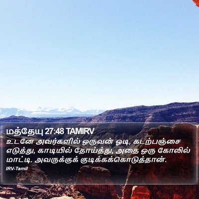 மத்தேயு 27:48 TAMIRV Bible Verse Image