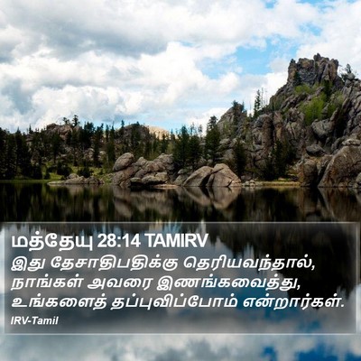 மத்தேயு 28:14 TAMIRV Bible Verse Image