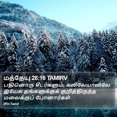 மத்தேயு 28:16 TAMIRV Bible Verse Image