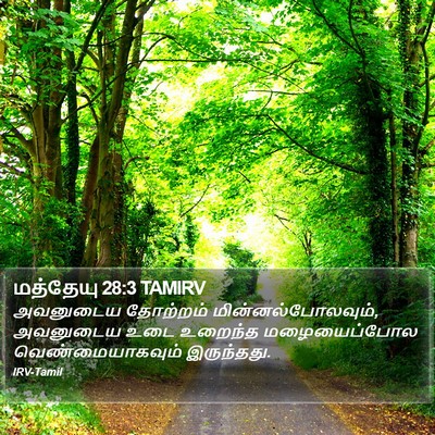 மத்தேயு 28:3 TAMIRV Bible Verse Image