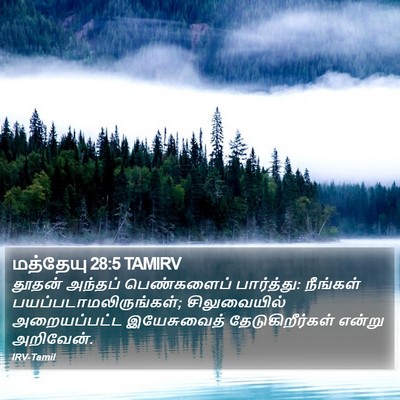 மத்தேயு 28:5 TAMIRV Bible Verse Image