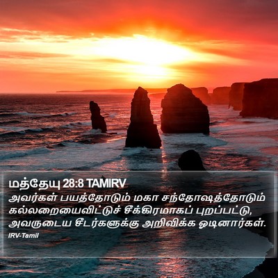 மத்தேயு 28:8 TAMIRV Bible Verse Image