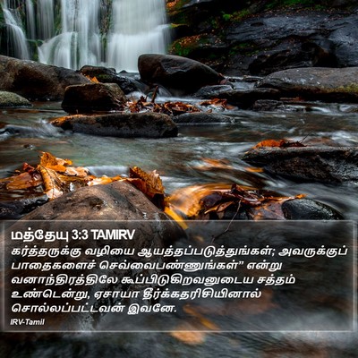 மத்தேயு 3:3 TAMIRV Bible Verse Image