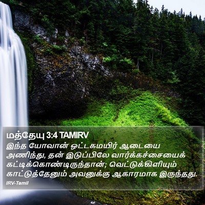 மத்தேயு 3:4 TAMIRV Bible Verse Image