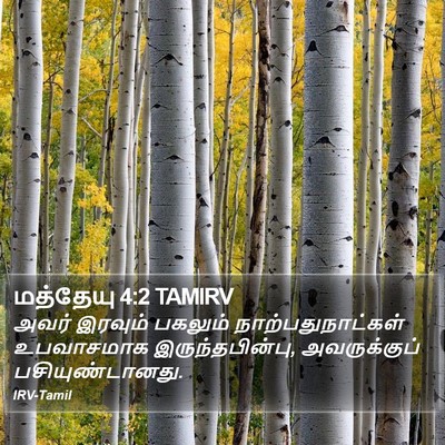 மத்தேயு 4:2 TAMIRV Bible Verse Image