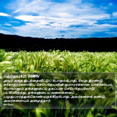 மத்தேயு 4:21 TAMIRV Bible Verse Image