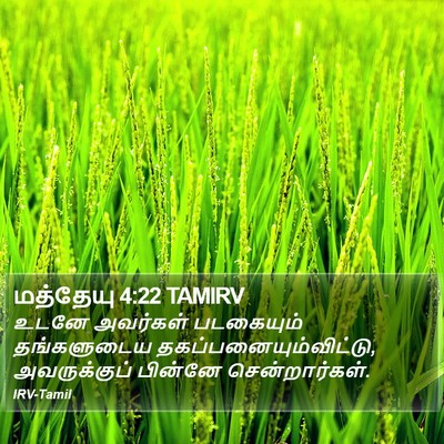 மத்தேயு 4:22 TAMIRV Bible Verse Image
